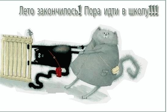 роб скоттон