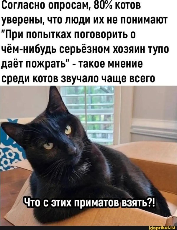 До первой звезды нельзя