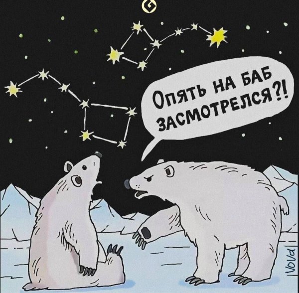 созвездие белая медведица