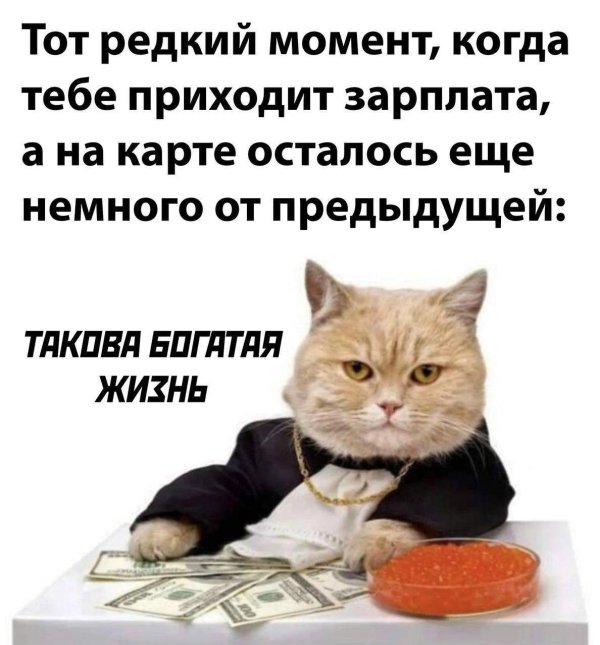 пришла зарплата
