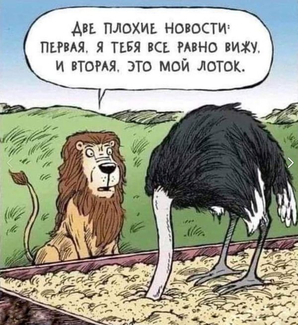 страус прячет голову в песок
