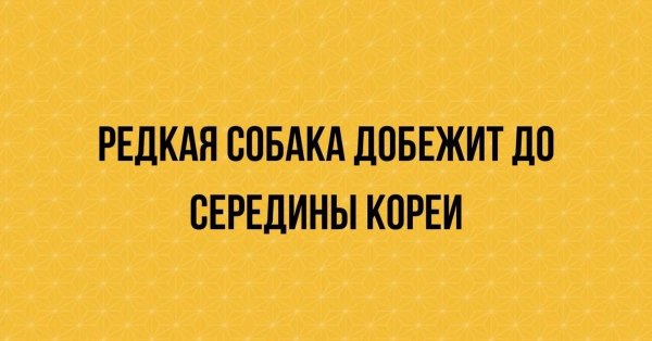 веселые высказывания