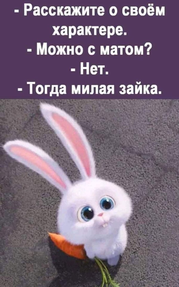 милая зайка