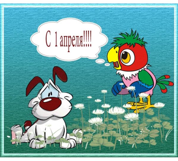 смешная открытка