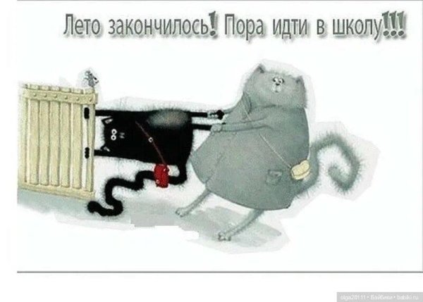 роб скоттон