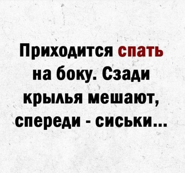 веселые высказывания