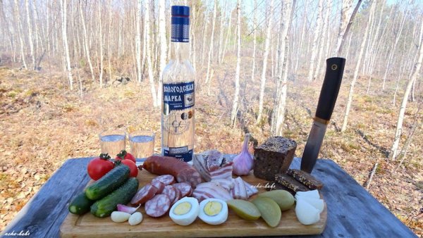 водка на природе