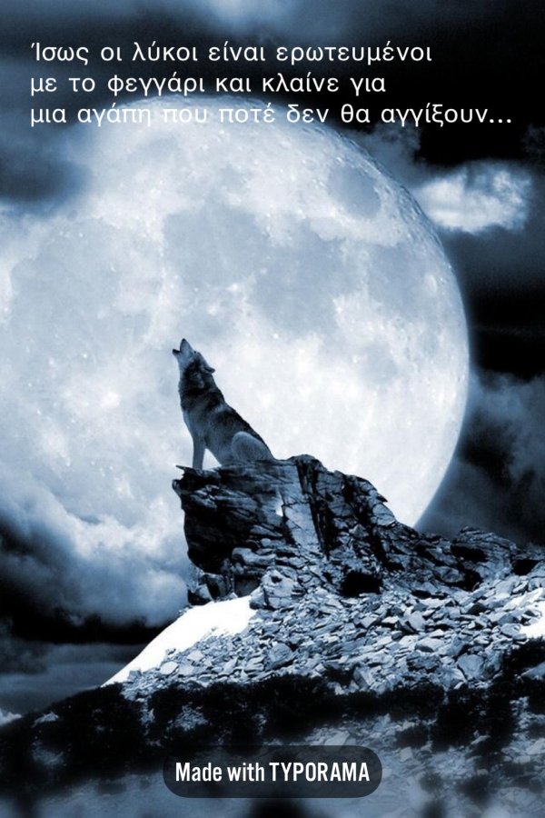 волк под луной