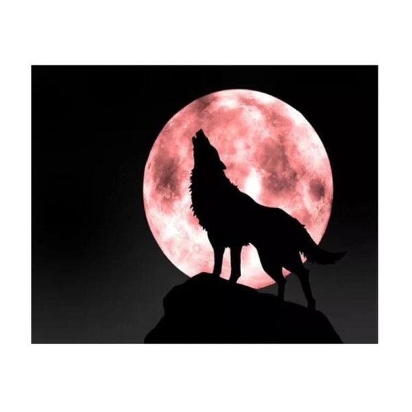 силуэт волк