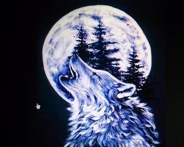 волк на фоне луны