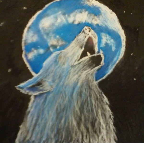 волк молится