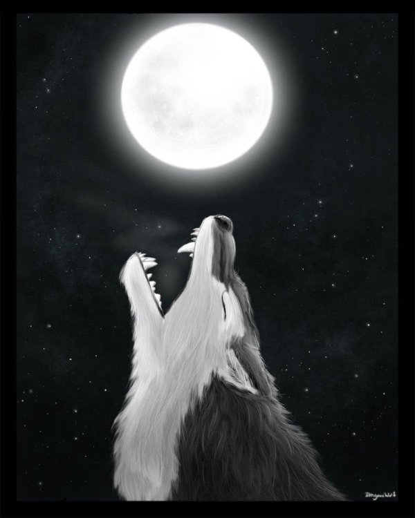 одинокий волк аниме