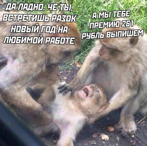 старый новый год мемы