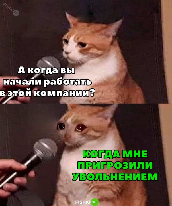 а когда вы начали работать  когда мне пригрозили увольнением