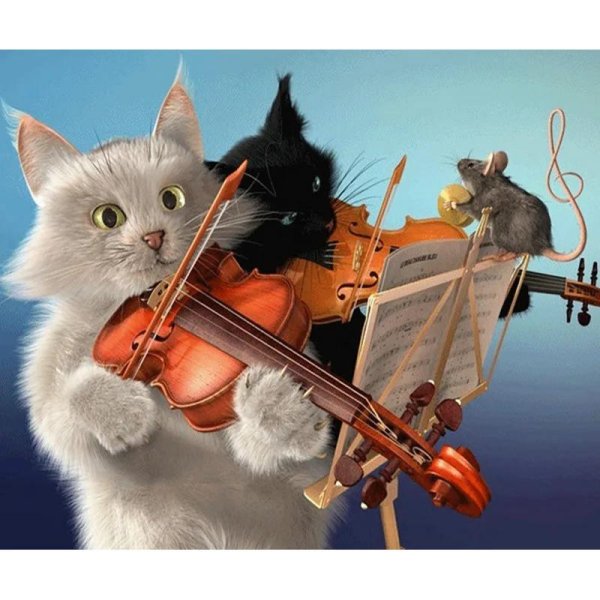 коты с музыкальными инструментами