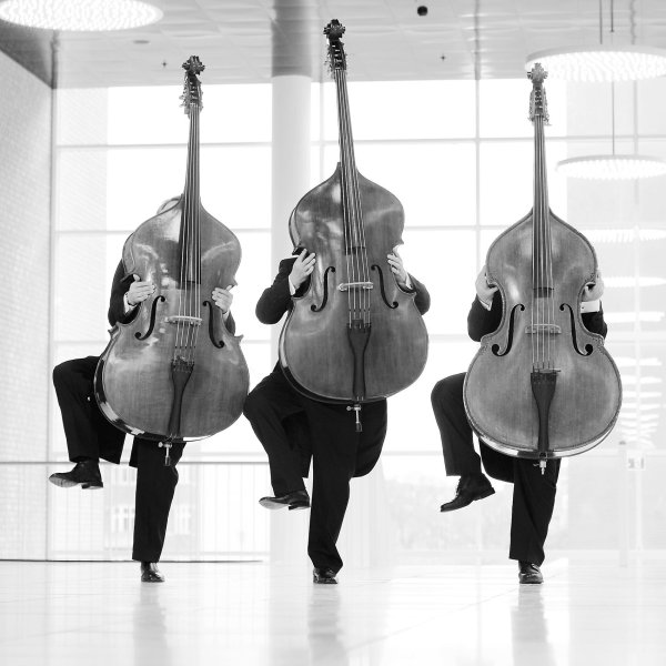 давид койфман контрабасист