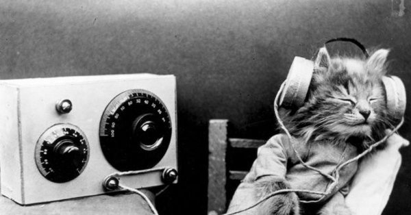 с днем радио