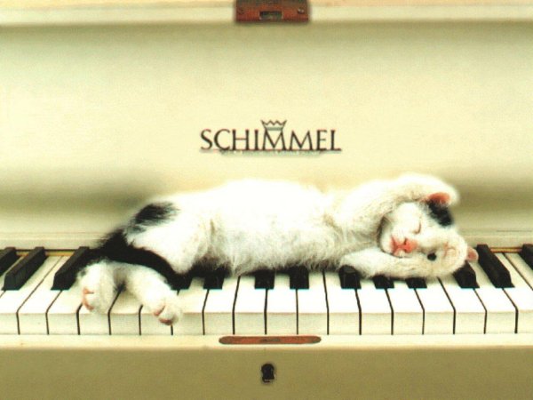 мое пианино