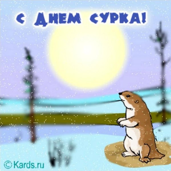 с днем сурка