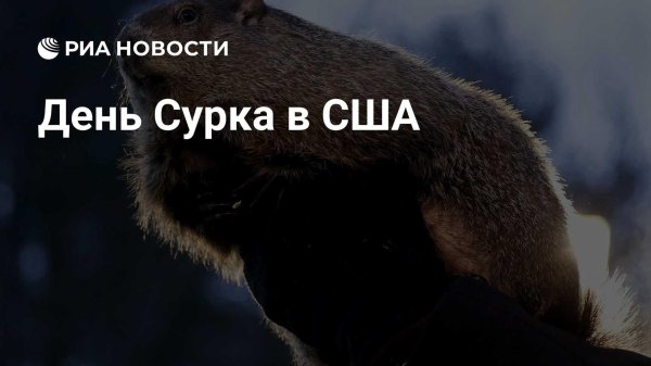 день cурка