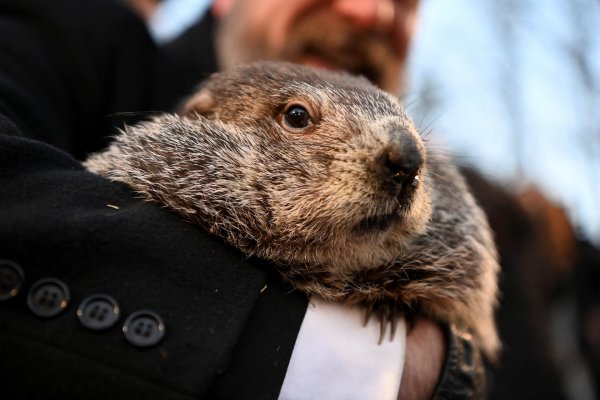 punxsutawney phil
