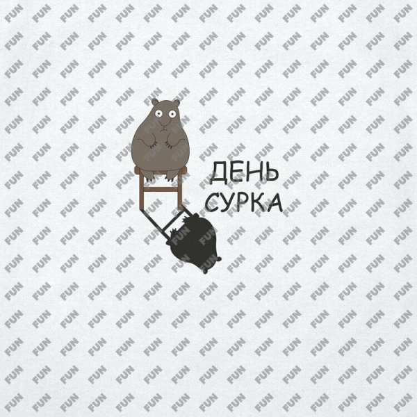 сурок смешной