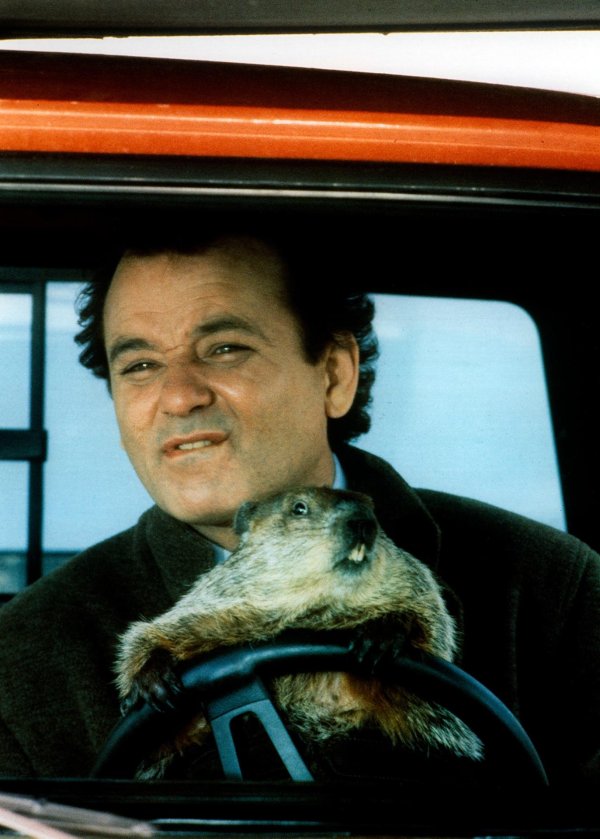 groundhog day