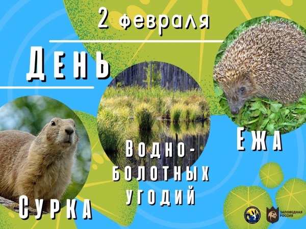 заповедник нургуш