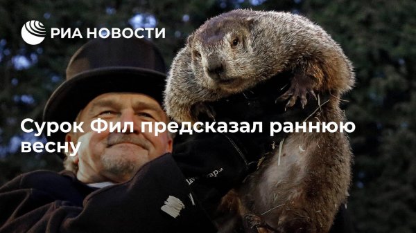 сурок фил предсказал раннюю весну