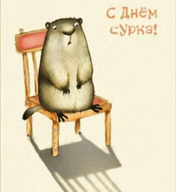 с днем сурка