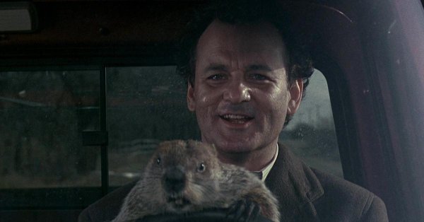 groundhog day 1993