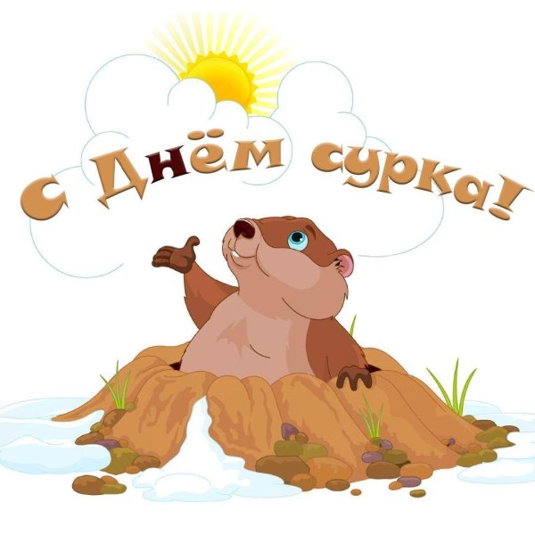 сурок мультяшный