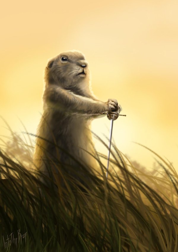 сурки байбаки