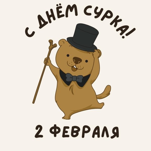 сурок смешной