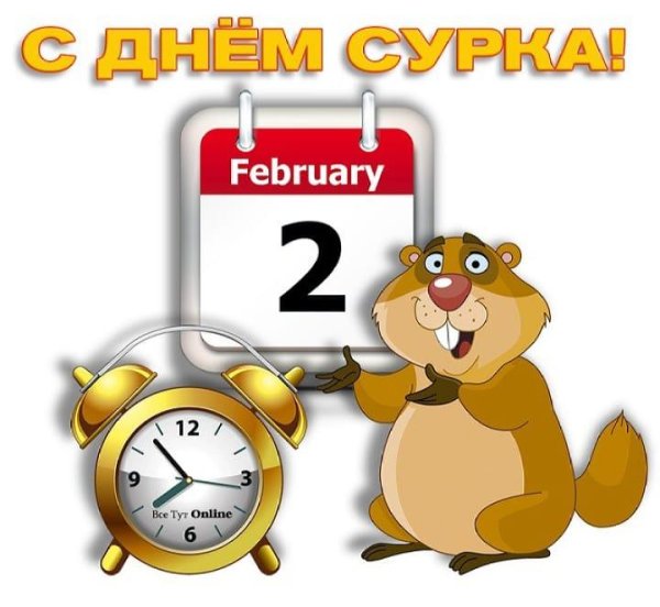 с днем сурка