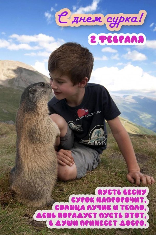 маттео вальч и сурки