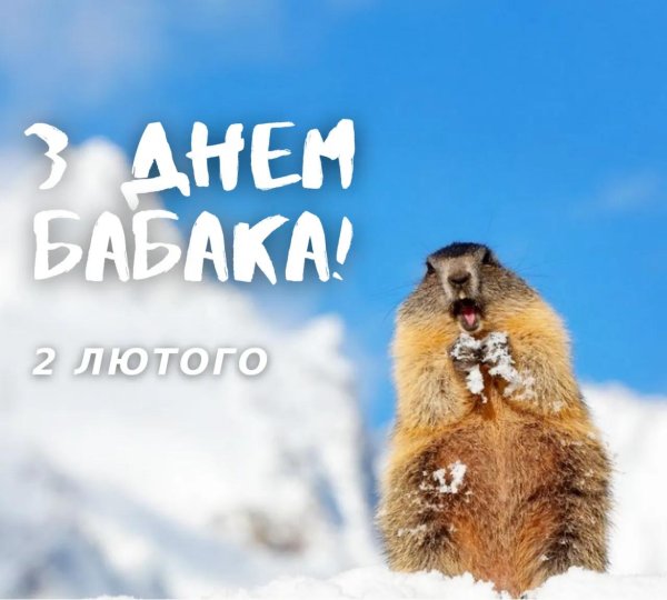день бабака