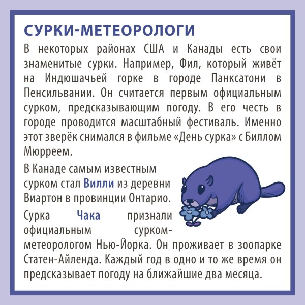 сурок интересные факты