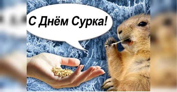 с днем сурка