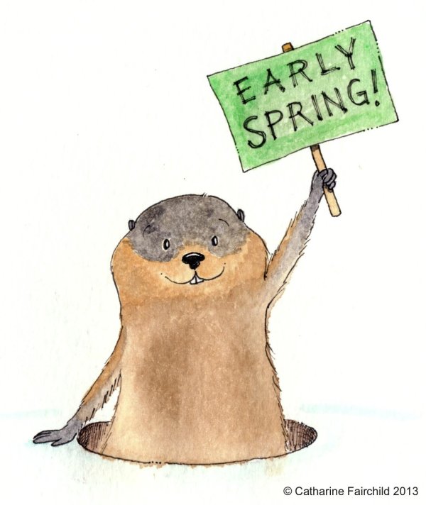 happy groundhog day