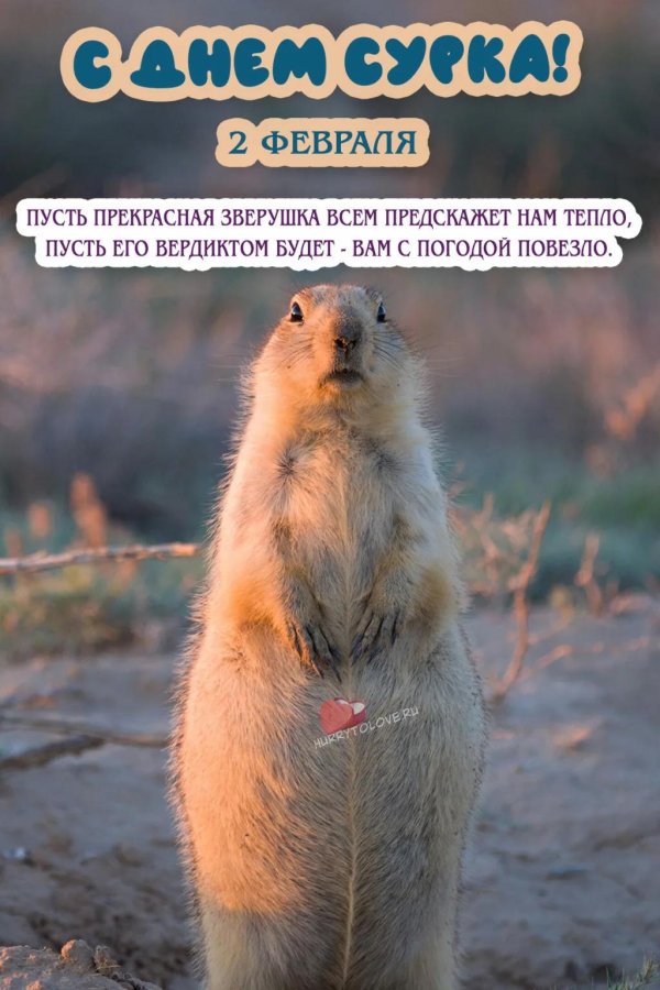 степной суслик