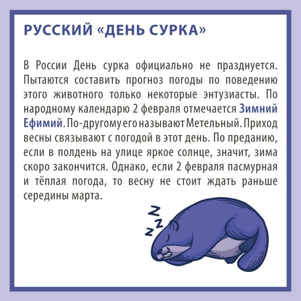 сурок интересные факты