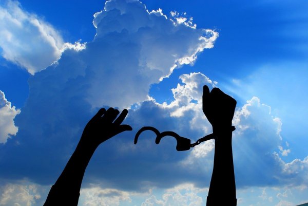 свобода действий