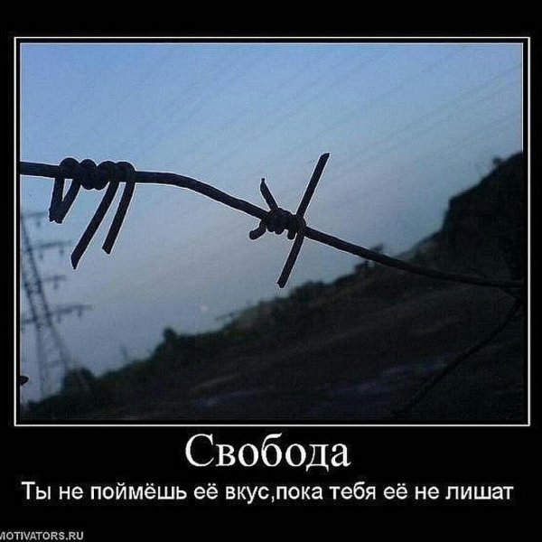 колючая проволока