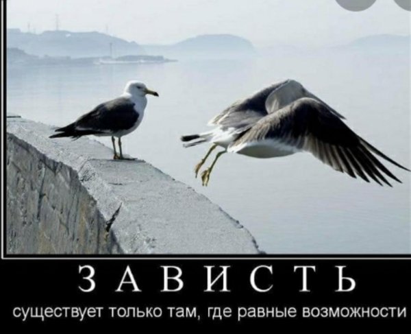зависть демотиватор