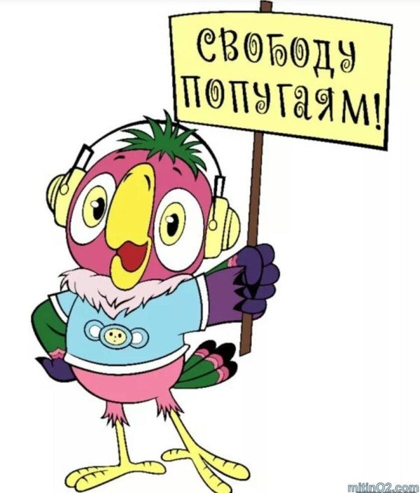 попугай кеша мультик