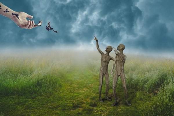 человеческая свобода