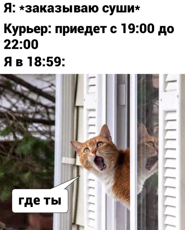 с нами стыдно зато весело