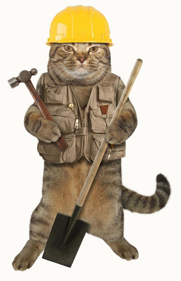 кот ремонтник