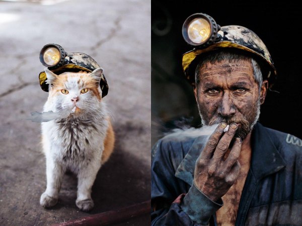 фотограф steve mccurry